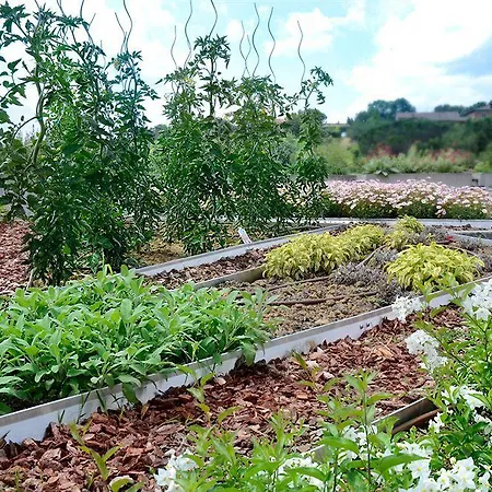 Terre Di Casole 4*